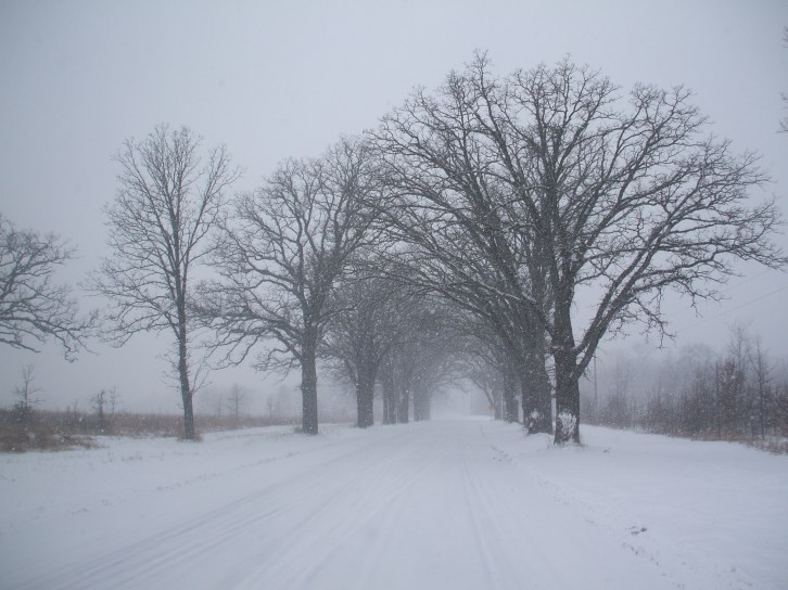 Winter Road