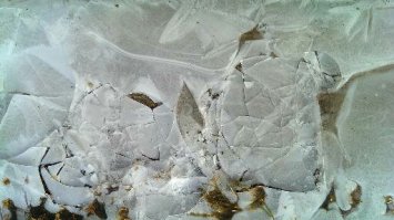 Cracked Ice in the Sidewalk
