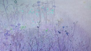 "Delicate Growth" Photo Credit:  Jane H. Johann August, 2013