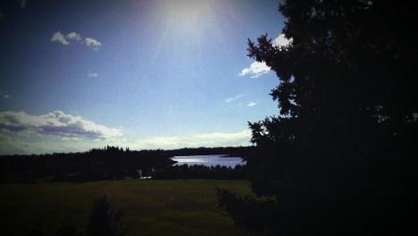 Spring Lake, Alberta, Canada, August 2013; Photo Credit: Jane H Johann