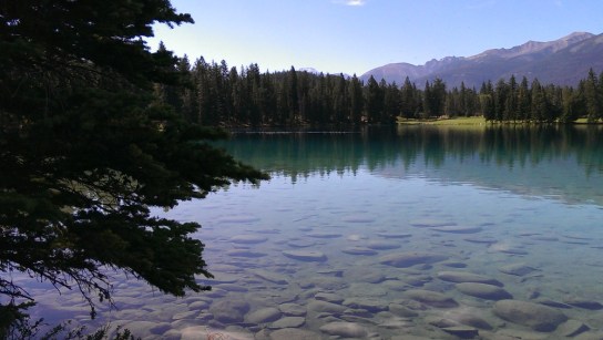Photo Credit: Jane H. Johann, Jasper, Alberta, Canada, 2013.