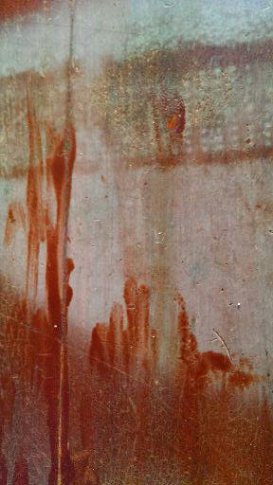 "Grasping"...Photo Credit: Jane H. Johann, Edmonton, ALberta, Canada, 2014.