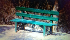  "Lonely Bench" Image ID: 913573 http://www.freeimages.com/photo/913573