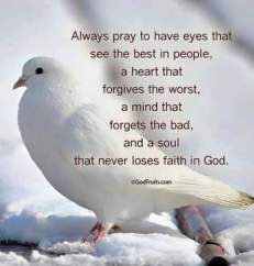 11036950_1644716525775076_3809266748007456702_n